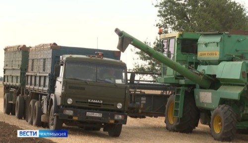 Сегодня на полях региона зерноводческие хозяйства продолжают борьбу с саранчой и другими вредителями сельхозугодий