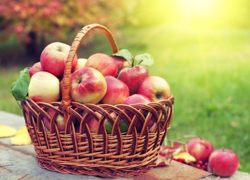 Яблочный спас - символ окончания лета и наступления осени