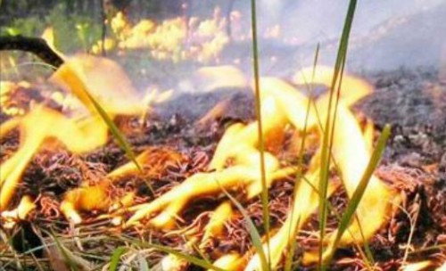 В Калмыкии прогнозируется чрезвычайная пожароопасность