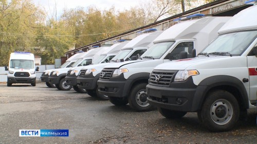 В  распоряжение врачебных амбулаторий Калмыкии поступили 12 новых автомобилей скорой помощи