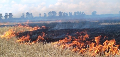 По следам былых пожарищ