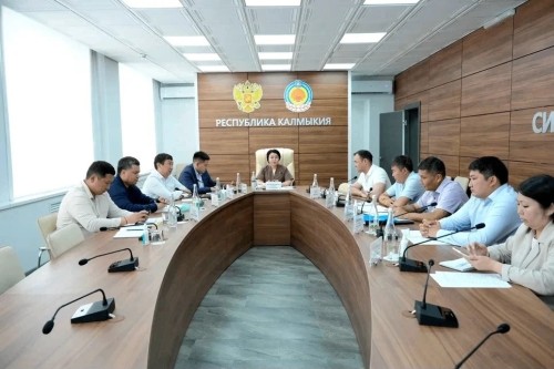 В Правительстве Калмыкии обсудили поддержку пострадавших от пожаров