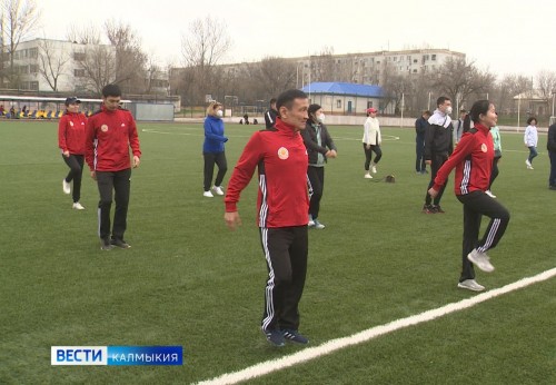 Праздник здоровья и физической культуры