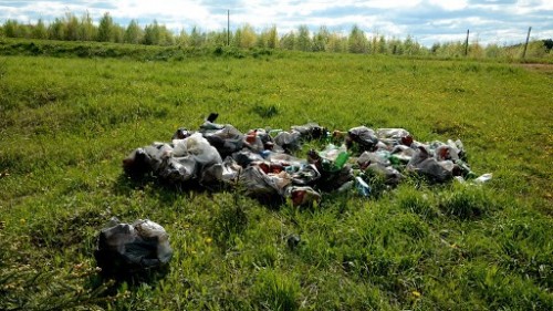 Каждый день сотрудники государственного заповедника «Черные земли» очищают от мусора его территорию