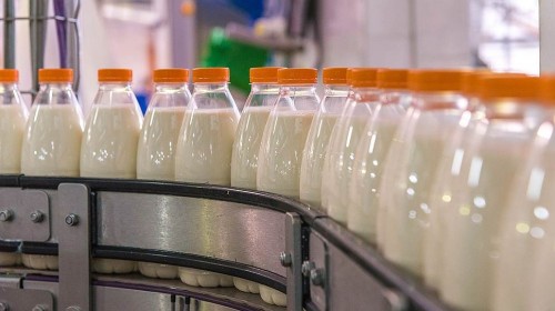 Молочная продукция и тайная лаборатория