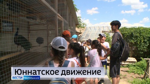 Сегодня – День создания юннатского движения