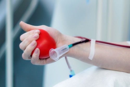 Около 20 литров крови сегодня сдали жители региона в Национальный день донора