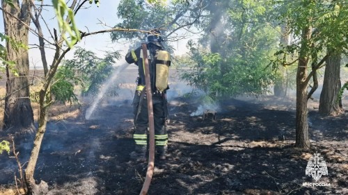 В Городовиковском районе ликвидировали возгорание травы у трансформаторной подстанции