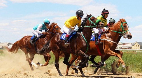 Сегодня в поселке Ергенинский большой конно-спортивный праздник
