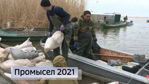 На Каспии продолжается весенняя путина
