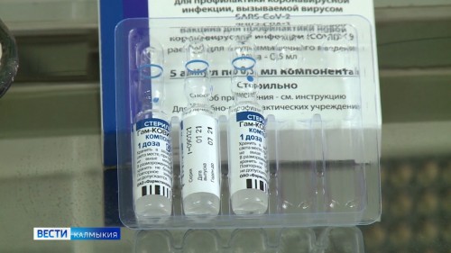 Шесть тысяч доз препарата от COVID-19 дополнительно выделил Калмыкии федеральный центр