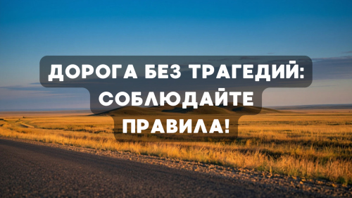 Дорога без трагедий: соблюдайте правила!