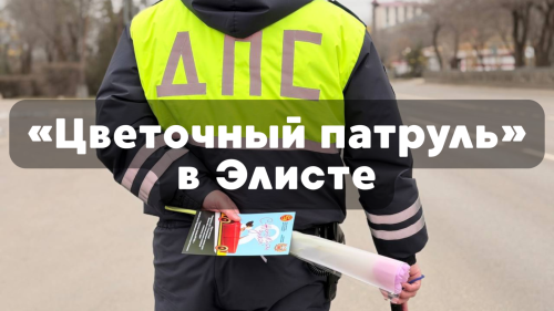 Весенний акцент: в Элисте прошел «Цветочный патруль»