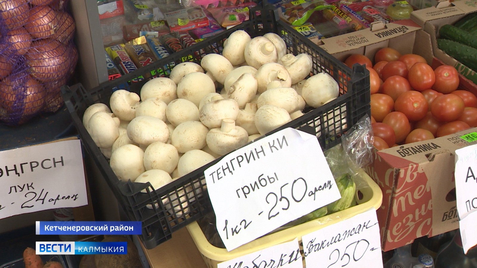 В Калмыкии продолжается декада Международного дня родного языка