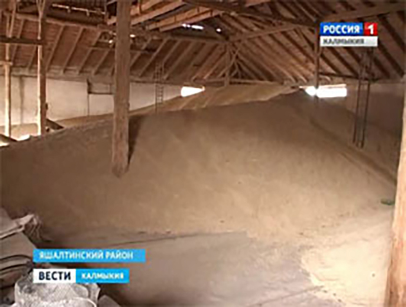 В Яшалтинском районе похитили зерно