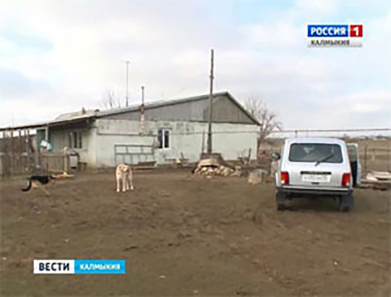 Жителя Волгоградской области обманули при покупке скота