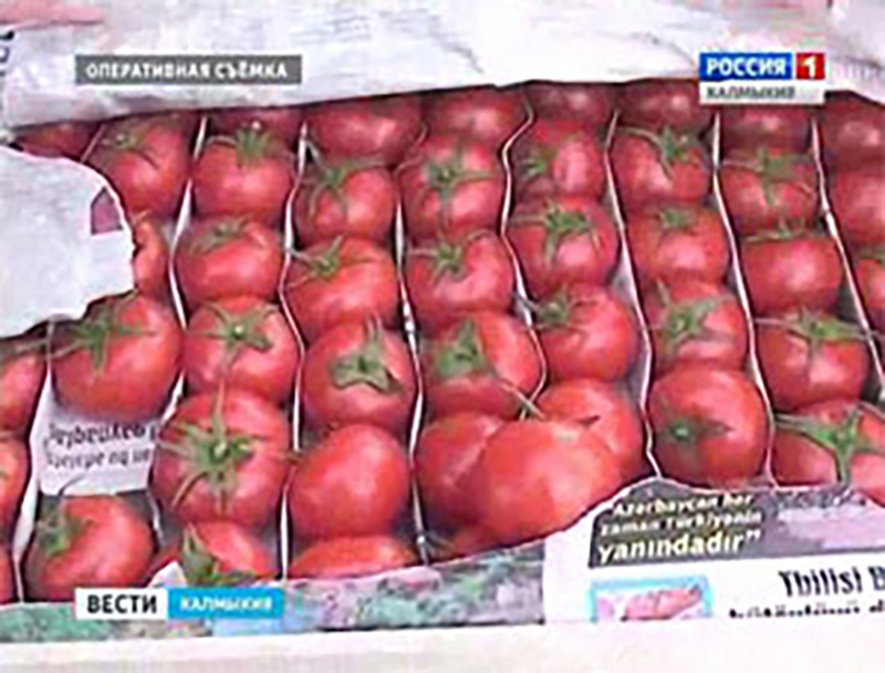 Специалисты Россельхознадзора пресекли ввоз партии зараженных томатов