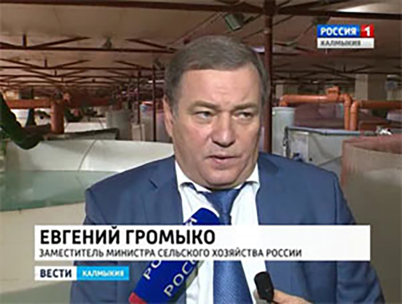 Евгений Громыко посетил завод по производству осетровых в Элисте