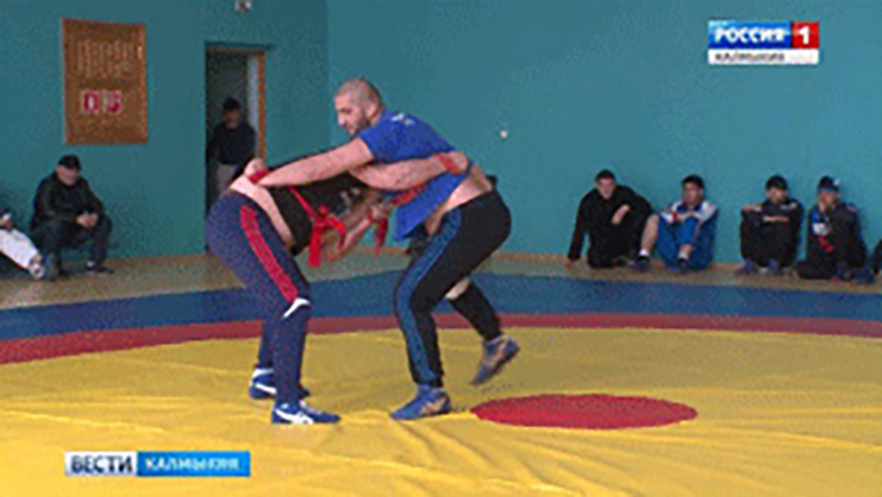 В Элисте состоялся 10 всероссийский турнир по борьбе на поясах