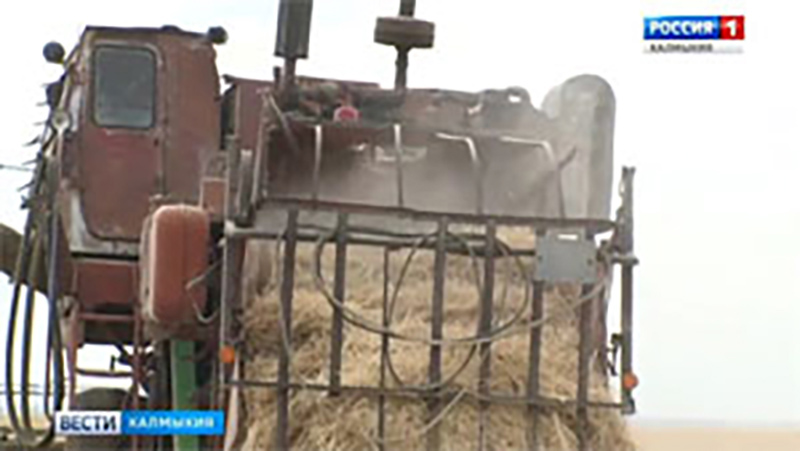 В Калмыкии продолжается кампания по заготовке кормов