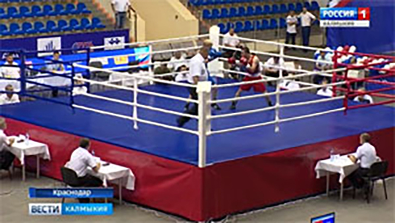 Пять человек представляют Калмыкию на Чемпионате ЮФО по боксу среди мужчин