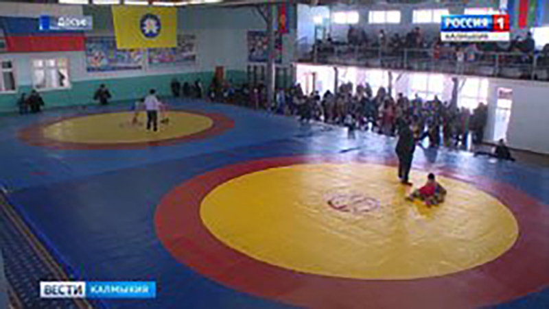 В столице Калмыкии прошел турнир по борьбе памяти Канура Адучиева