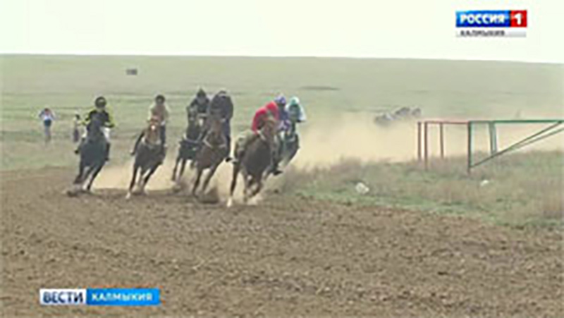 В поселке Ергенинский состоятся конно-спортивные соревнования