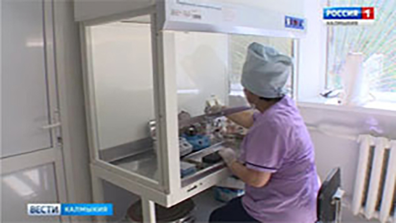 В Калмыкии регистрируются случаи укуса клещей