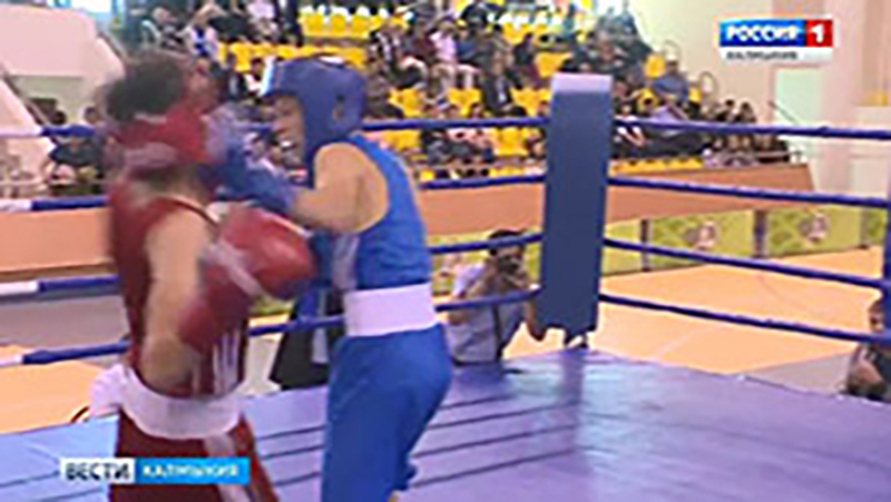 В Элисте стартует 13-й Всероссийский турнир по боксу среди юношей