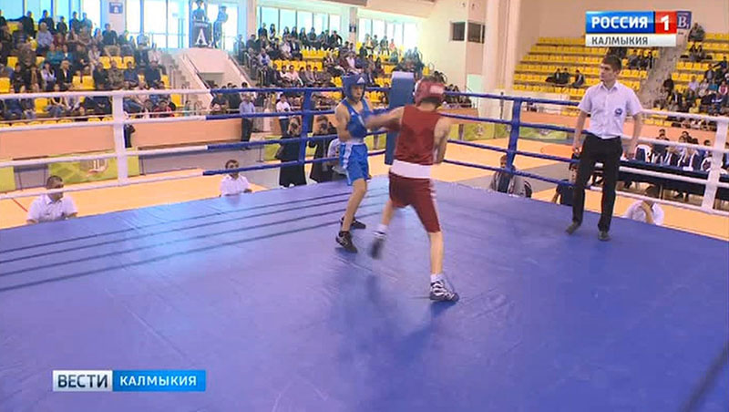 В «Ойрат-Арене» стартует Открытое первенство по боксу среди юношей