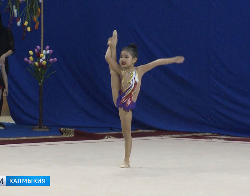 В Элисте стартовал 24-й чемпионат Калмыкии по художественной гимнастике