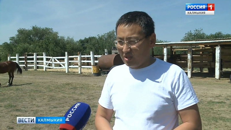 В Калмыкии пройдет конный фестиваль