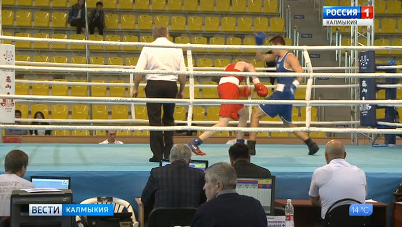 В Калмыкии проходит турнир по боксу