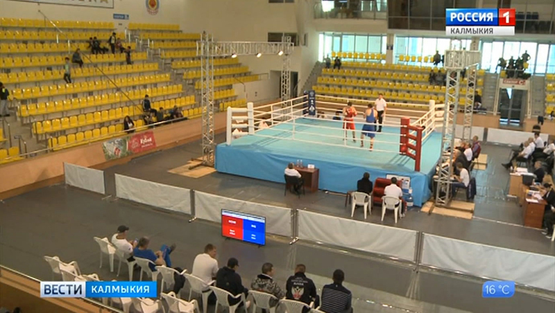 Начались полуфинальные поединки Всероссийского турнира по боксу