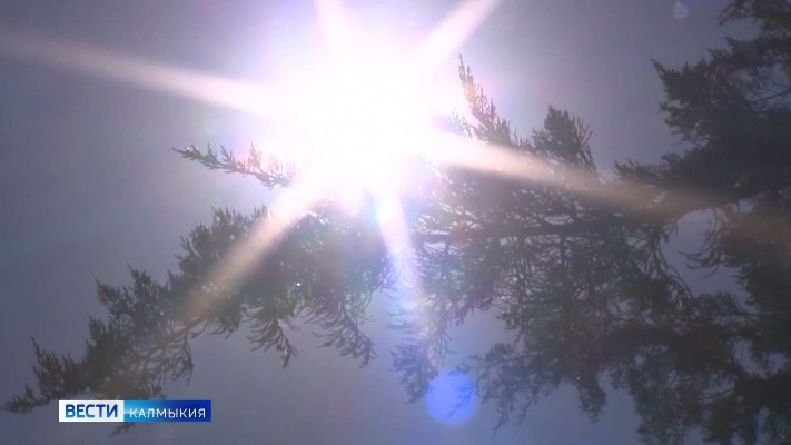 В ближайшую неделю в Калмыкии ожидается жара до 39 градусов