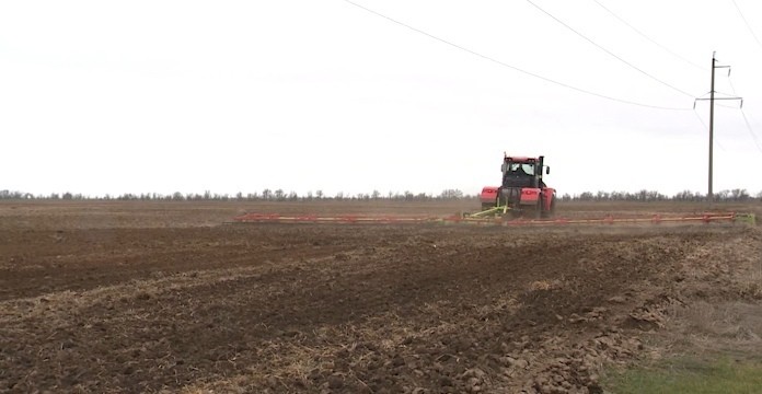 Аграрии региона до наступления заморозков выполнили план по посеву озимых почти на 60%