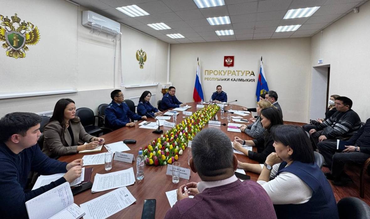 В Элисте в республиканской прокуратуре состоялось заседание постоянно действующей межведомственной рабочей группы по вопросам защиты социальных прав граждан. Здесь обсудили актуальные вопросы соблюдения прав инвалидов-колясочников на доступную среду.