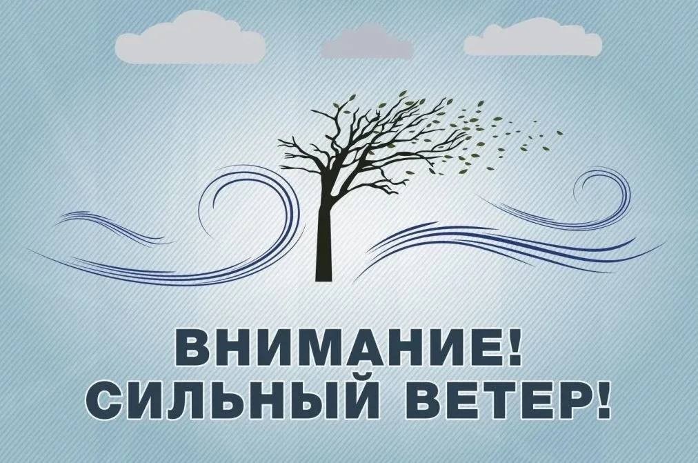 По данным Калмыцкого ЦГМС, 29 мая местами на территории Республики Калмыкия ожидается усиление юго-восточного ветра с порывами до 15-20 м/с, в отдельных районах пыльная буря.