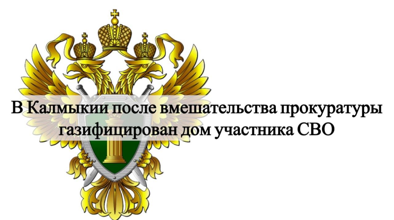 В Калмыкии прокуратура города Элисты провела проверку по обращению супруги участника СВО.