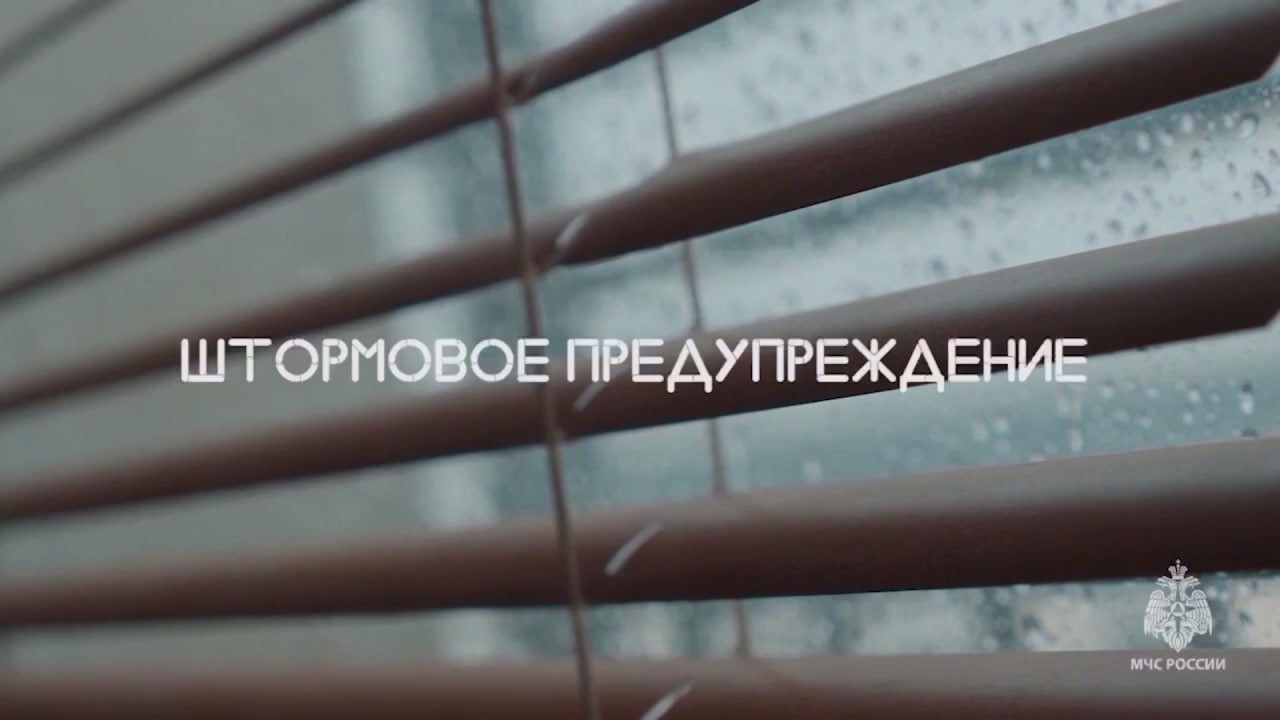 Штормовое предупреждение