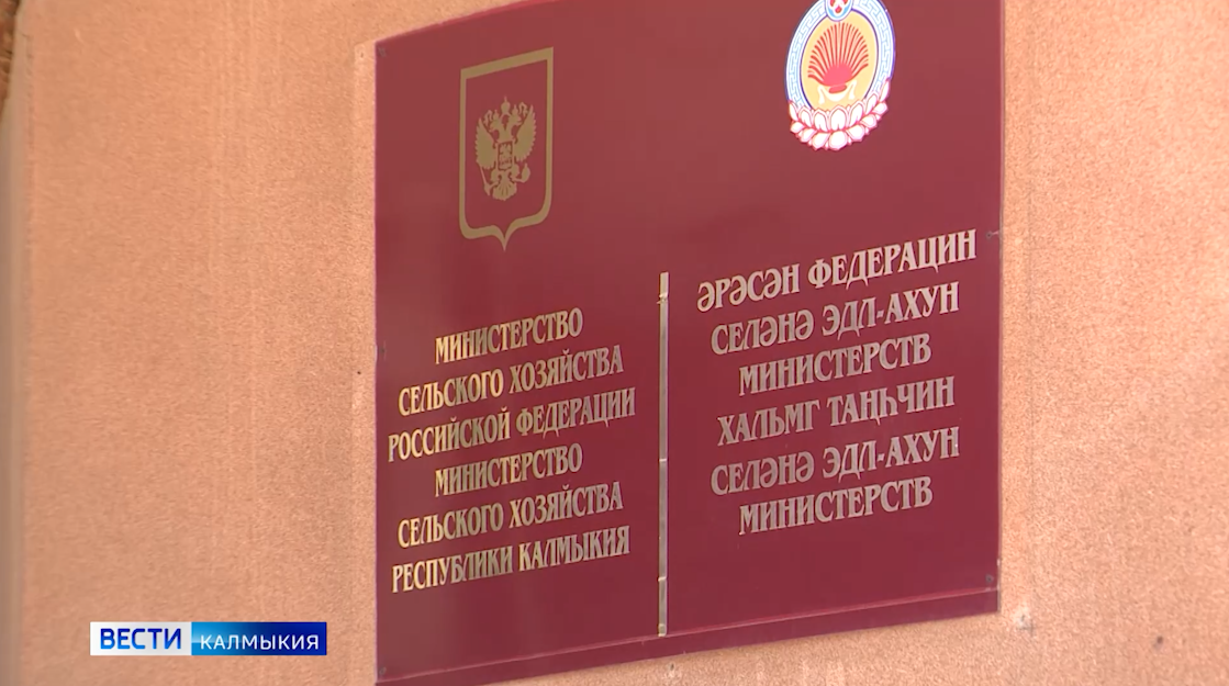 Ветераны СВО могут получить солидную господдержку на развитие фермерского хозяйства.