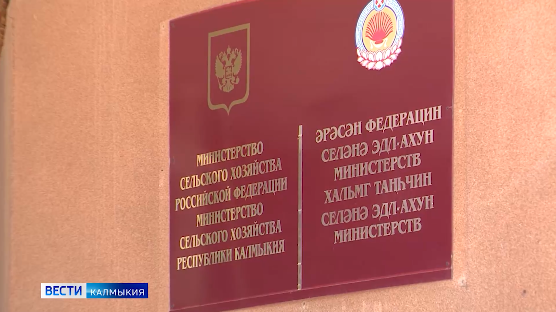 Сегодня в минсельхозе Калмыкии стартует прием заявок на получение гранта "Агромотиватор".
