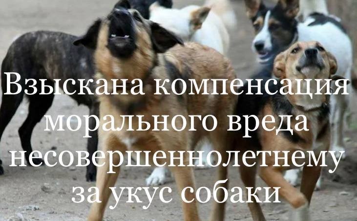 В Калмыкии суд удовлетворил иск прокуратуры Яшалтинского района о возмещении несовершеннолетнему морального вреда.