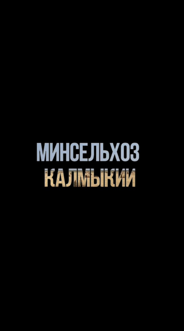 В Калмыкии идет заготовка кормов.