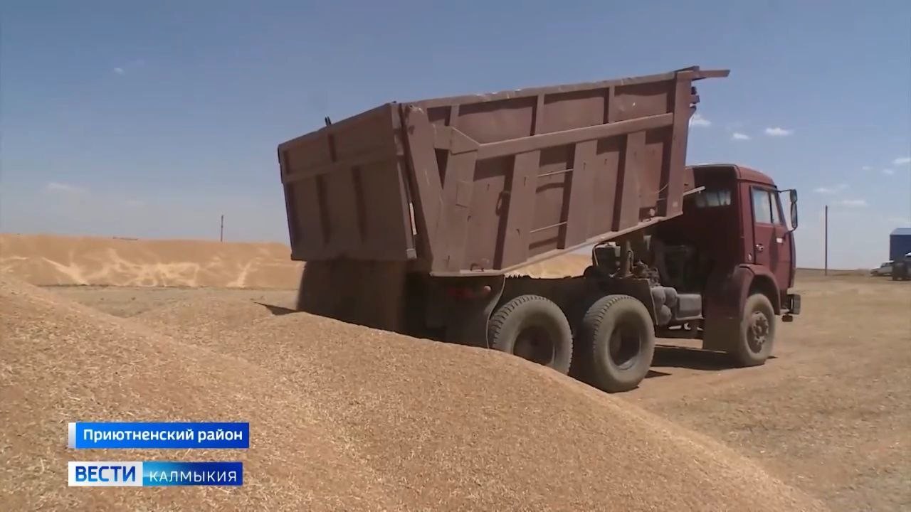 Аграрии Приютненского района успешно завершили уборку зерновых.