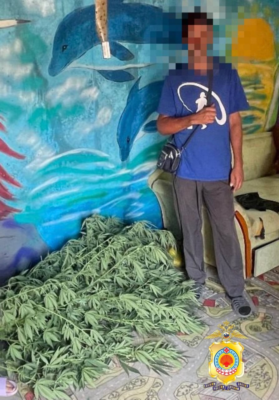В Целинном районе полиция пресекла незаконный оборот наркотических средств.