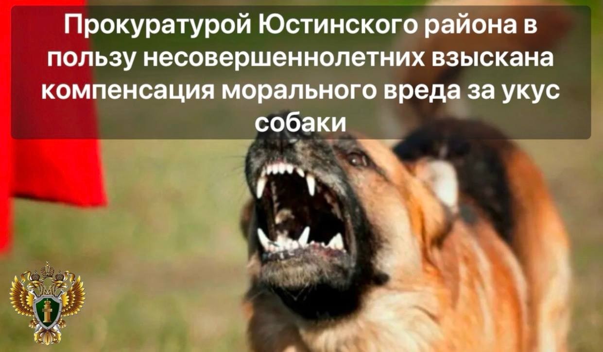 Прокуратура Юстинского района обеспечила компенсацию для детей, пострадавших от укуса безнадзорной собаки