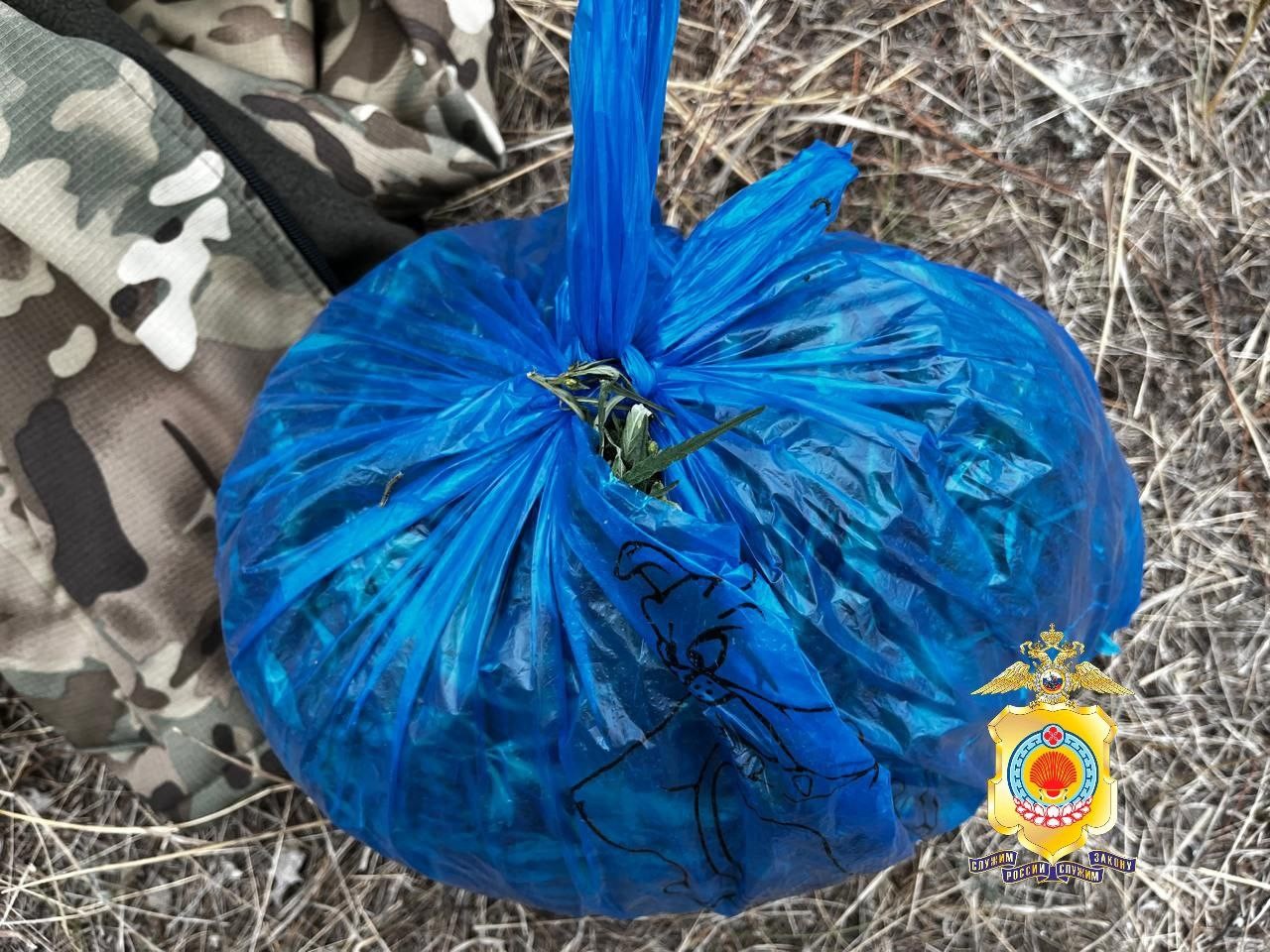 В Яшалтинском районе задержан мужчина с партией дикорастущей конопли