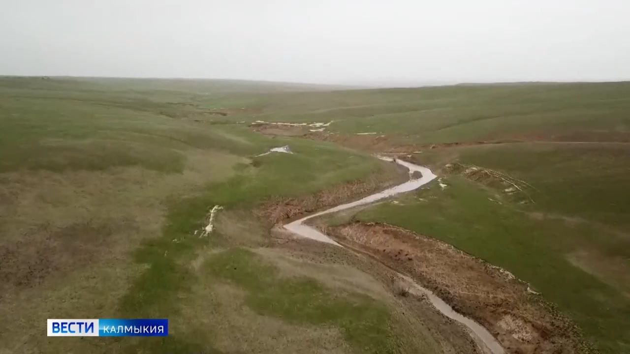 Сегодня Всемирный день охраны мест обитаний.