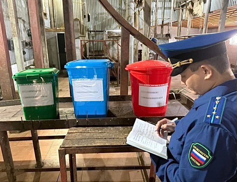 Прокуратура Кетченеровского района обнаружила системные нарушения ветеринарного законодательства.